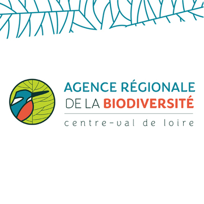 rojet arb identite visuelle