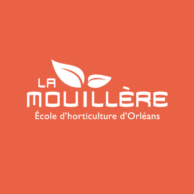 projet mouillere identite visuelle