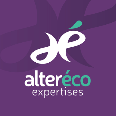 création identité visuelle logo charte graphique papeterie agence de communication expertise comptable courtier entreprise