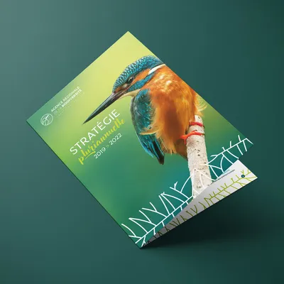 création brochure stratégie pluriannuelle mise en page agence régionale biodiversité Centre-Val de Loire